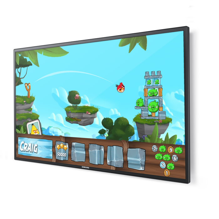 Games 5522 Overhead Display Angry Birds Fnl-2