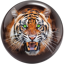 Viz A Ball Tiger Front 1600x1600-1