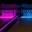 Nitro Pin Deck and Division Lighting-1